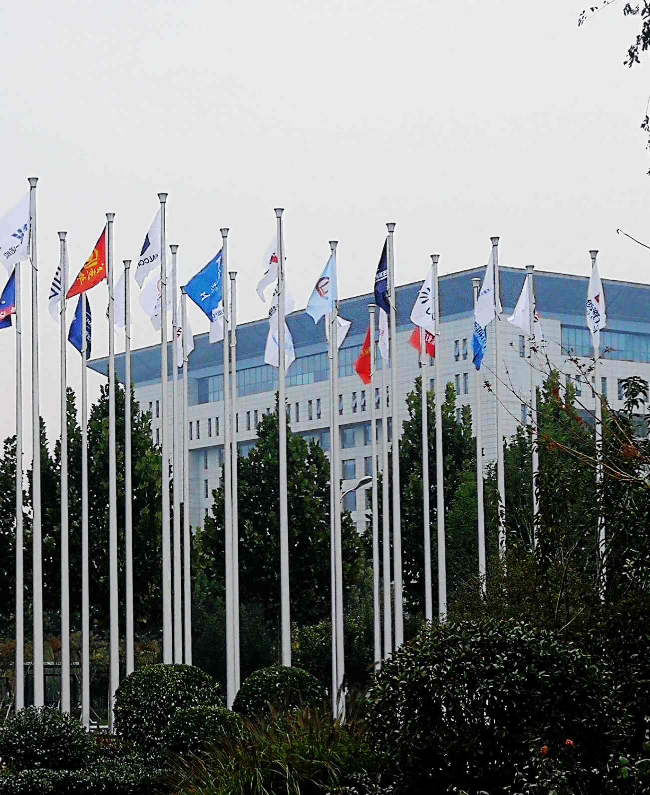 鳳凰涅槃，榮耀淄博